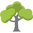 Summerville Tree Removal