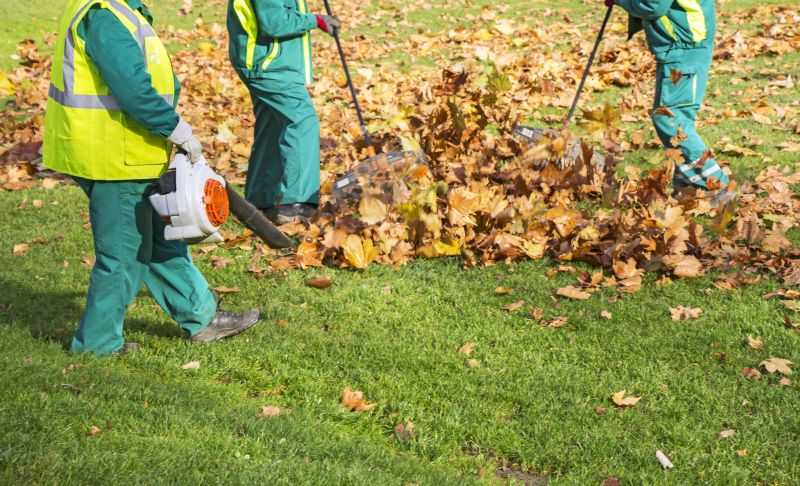 Leaf Removal Services