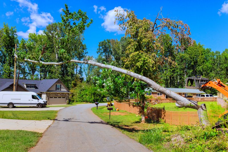 Cost of Fallen Tree Removal in Summerville, SC