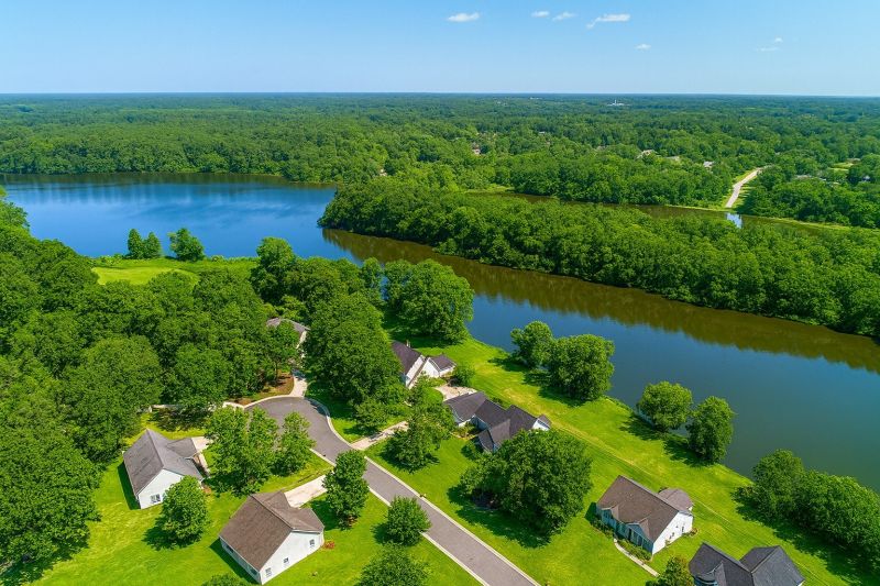 Tree Removal Service in Goose Creek, SC