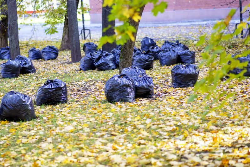 Leaf Collection