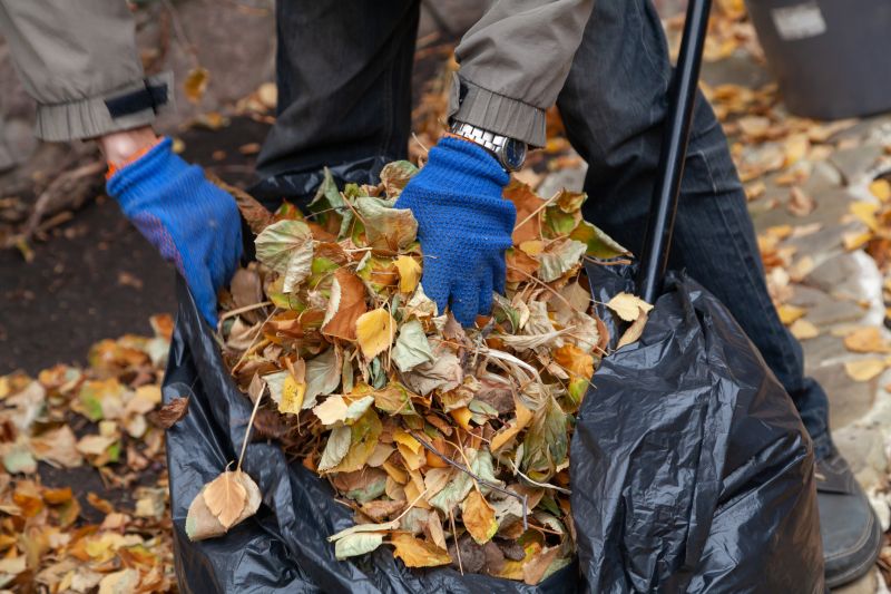 Leaf Disposal
