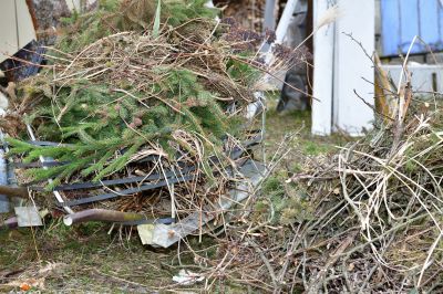 Seasonal Considerations